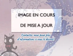 BANDAI ONE PIECE MAQUETTE RED FORCE 30CM -Célèbre Jouets Magasin no image